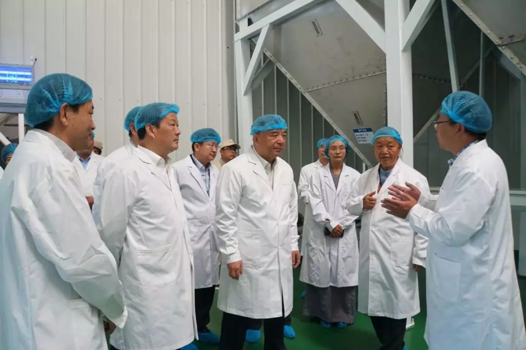 CA88(中国游)唯一官方网站