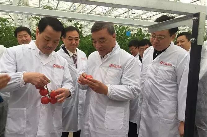 CA88(中国游)唯一官方网站