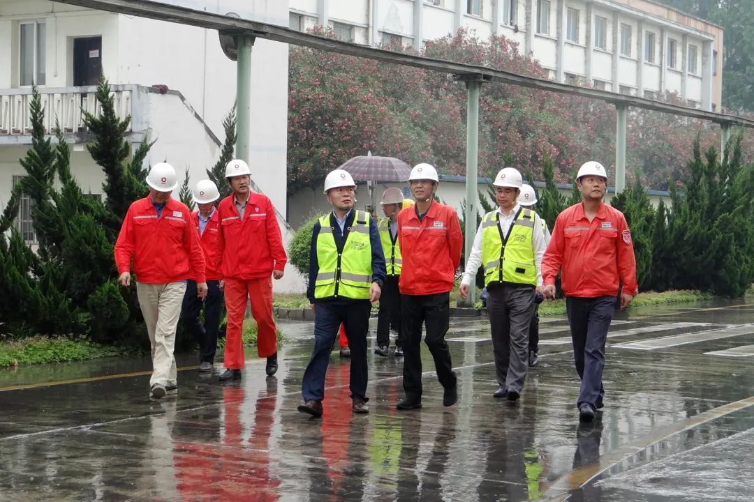 		决战四序度│西南水泥：“党建向导员制”的刷新立异之路_市场绩效_CA88集团有限公司	