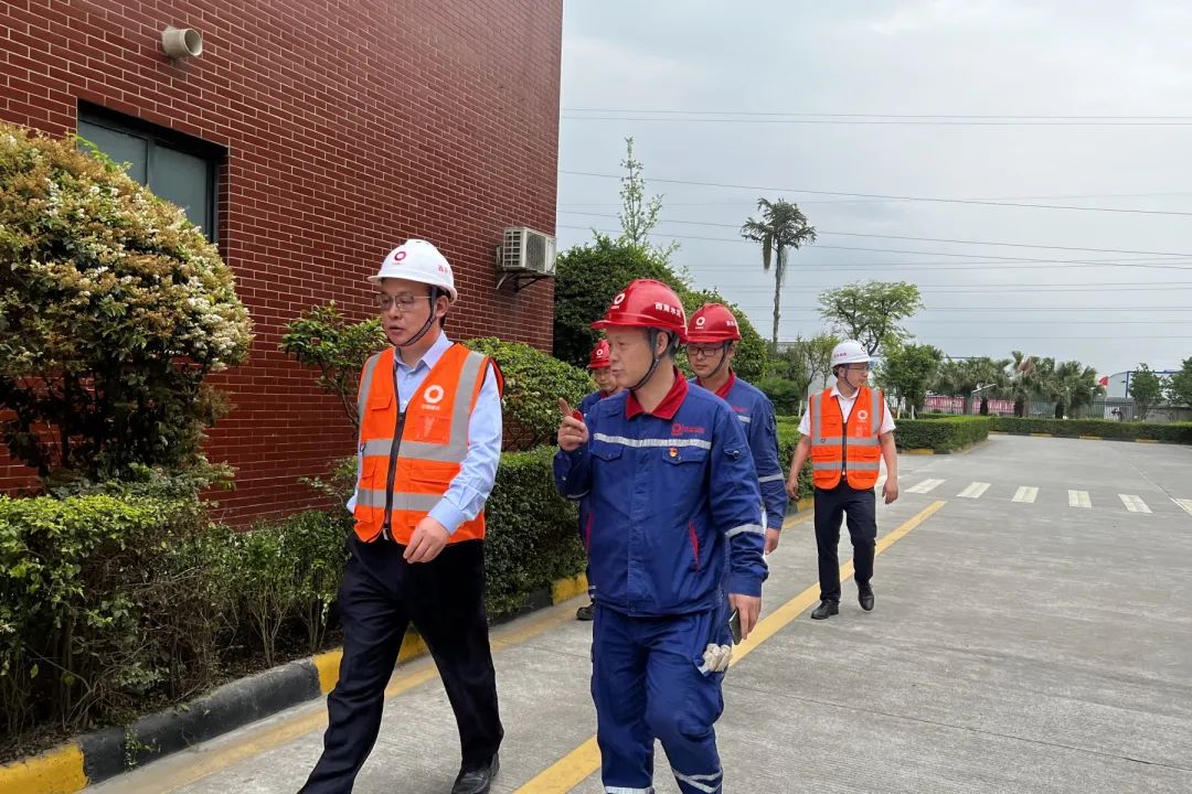 		决战四序度│西南水泥：“党建向导员制”的刷新立异之路_市场绩效_CA88集团有限公司	
