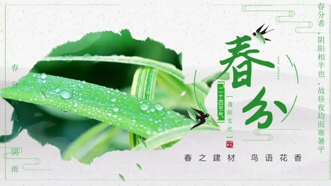 今日春分 | 春之建材，，莺啼燕语
