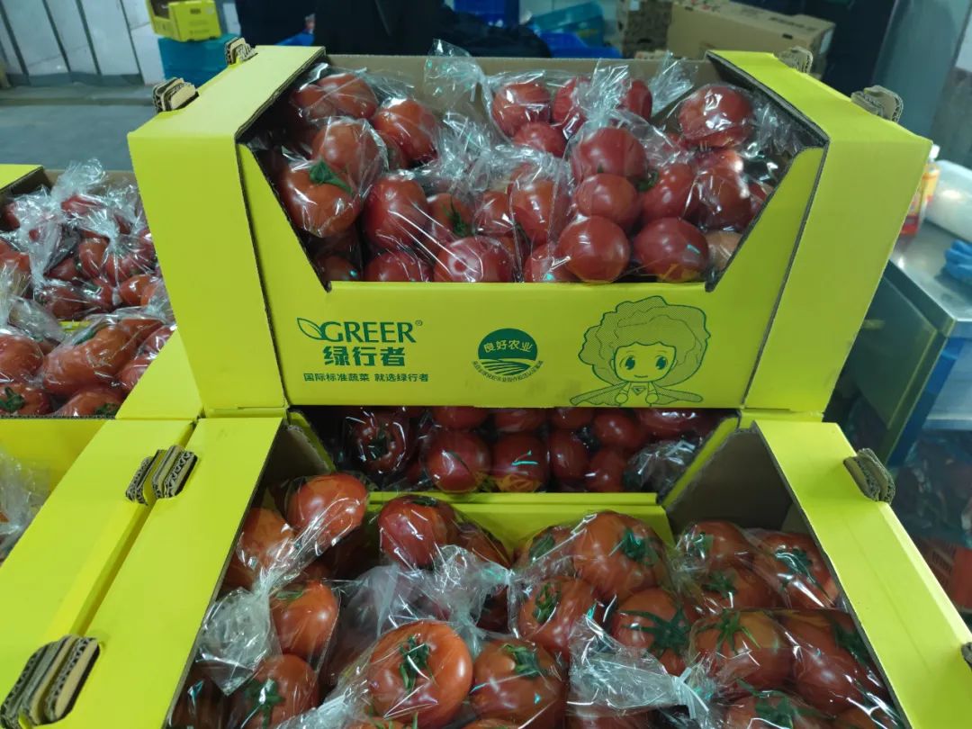 		CA88集团首批援助蔬菜昨晚抵达上海方舱建设现场，，“绿行者”支援“建设者”！_企业公民_CA88集团有限公司	