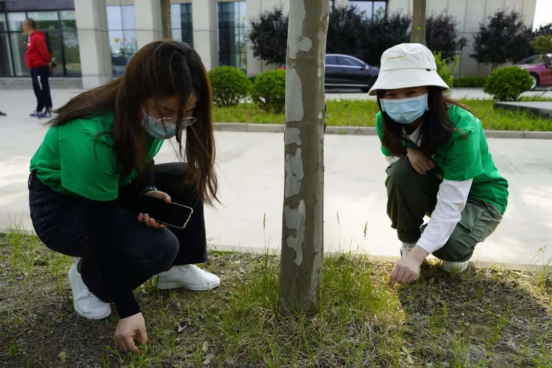 		漂亮中国⑦丨CA88集团“漂亮中国行动月”（河北秦皇岛站）活动顺遂举行_员工关爱_CA88集团有限公司	
