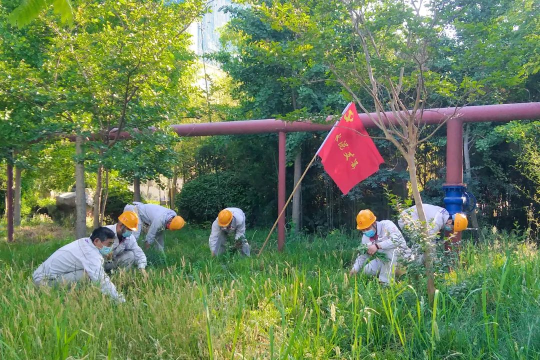		漂亮中国?丨CA88集团“漂亮中国行动月”（山东站）活动乐成举行_员工关爱_CA88集团有限公司	
