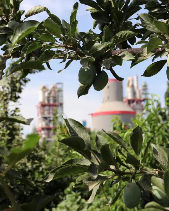 		漂亮中国⑨丨CA88集团“漂亮中国行动月”（宁夏青铜峡站）活动顺遂举行_员工关爱_CA88集团有限公司	
