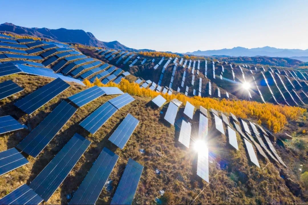 		信心2022 | 凯盛科技：传承刷新立异基因，，，，坚定不移跑好跑赢“3+1”战略赛道_企业公民_CA88集团有限公司	