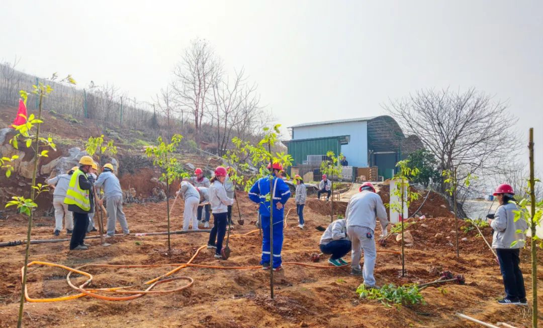 		植树节丨CA88集团“植”子之手，，共“植”未来_企业公民_CA88集团有限公司	