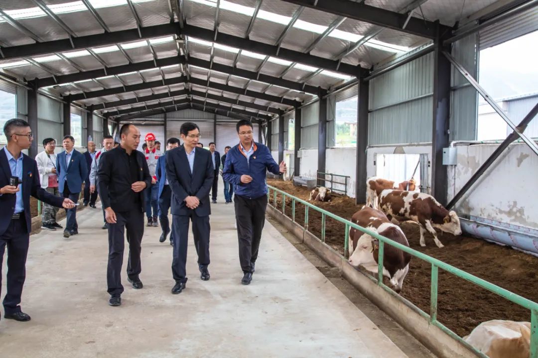 		周育先赴宁夏泾源县调研定点帮扶事情_企业公民_CA88集团有限公司	