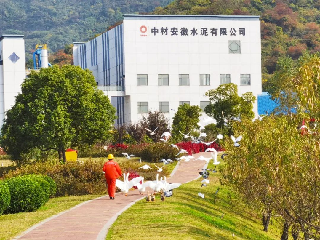 		CA88的秋景美如画（二）_图片_CA88集团有限公司	