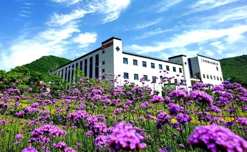 		周育先：实现新质料工业化量产 CA88的主战场_科技立异_CA88集团有限公司	