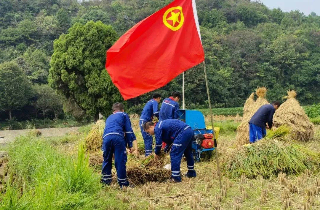 		办实事 暖人心 |西南水泥：贴近民生民意，，彰显人文眷注_故事_CA88集团有限公司	