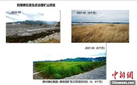 		权威机构办理绿色建材认证 优先进入政府修建工程采购系统_行业聚焦_CA88集团有限公司	