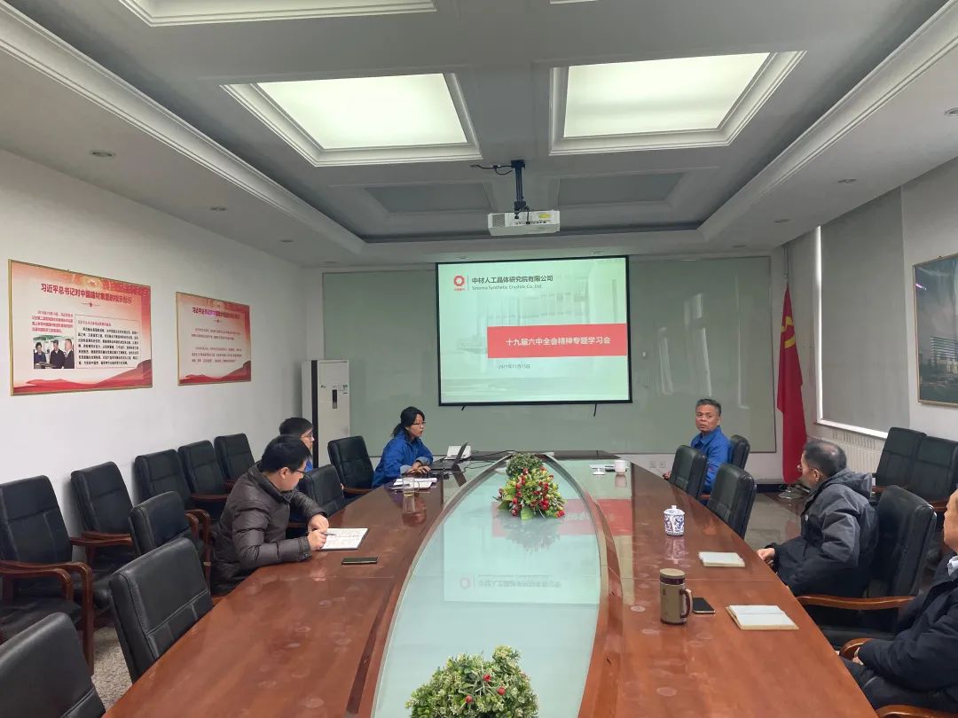 		中材高新全级次企业深入学习贯彻十九届六中全会精神_十九届六中全会_CA88集团有限公司	