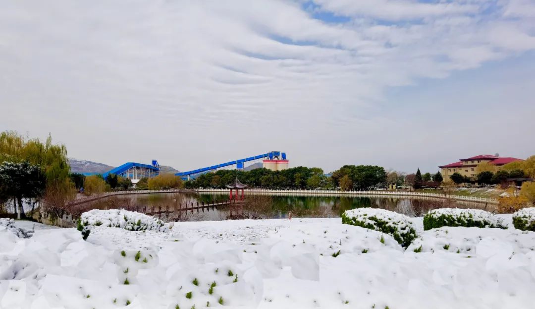 		雪花飘飘，，，，，一起来浏览建材小同伴镜头下的漂亮雪景吧！_图片_CA88集团有限公司	