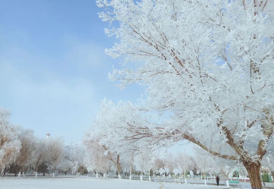 		雪花飘飘，，，，，一起来浏览建材小同伴镜头下的漂亮雪景吧！_图片_CA88集团有限公司	