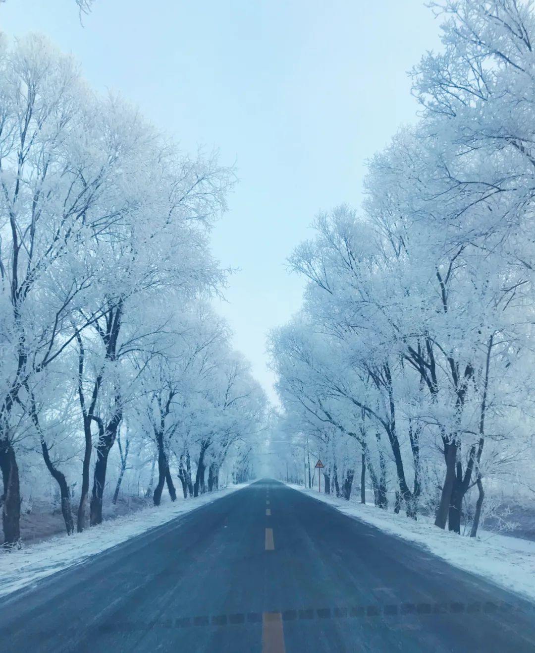 		雪花飘飘，，，，，一起来浏览建材小同伴镜头下的漂亮雪景吧！_图片_CA88集团有限公司	