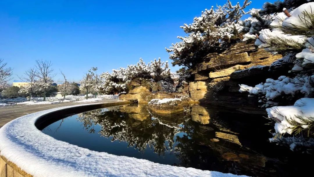 		雪花飘飘，，，，，一起来浏览建材小同伴镜头下的漂亮雪景吧！_图片_CA88集团有限公司	