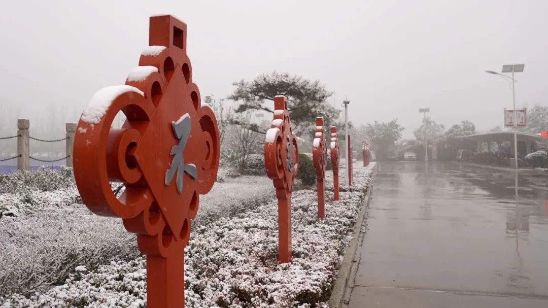 		雪花飘飘，，，，，一起来浏览建材小同伴镜头下的漂亮雪景吧！_图片_CA88集团有限公司	
