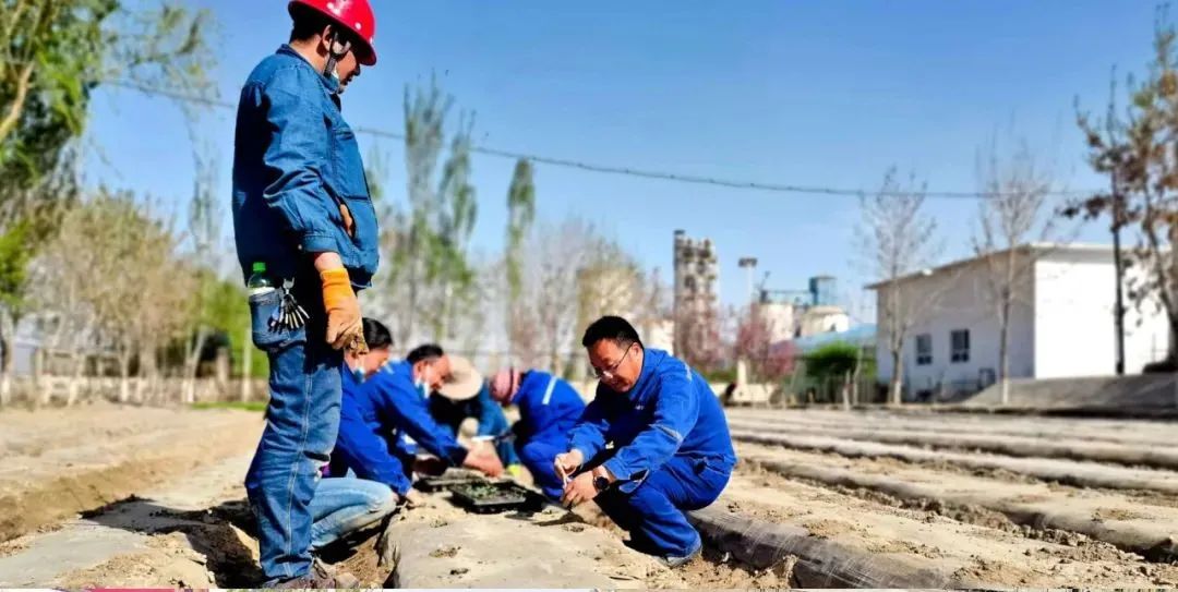 		办实事，，，，，解难题，，，，，增强职工群众的获得感、幸福感、清静感！_员工关爱_CA88集团有限公司	