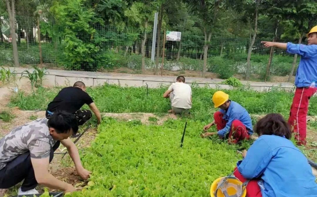 		办实事 暖人心 | 宁夏建材：专心用情解决好员工用餐问题_故事_CA88集团有限公司	