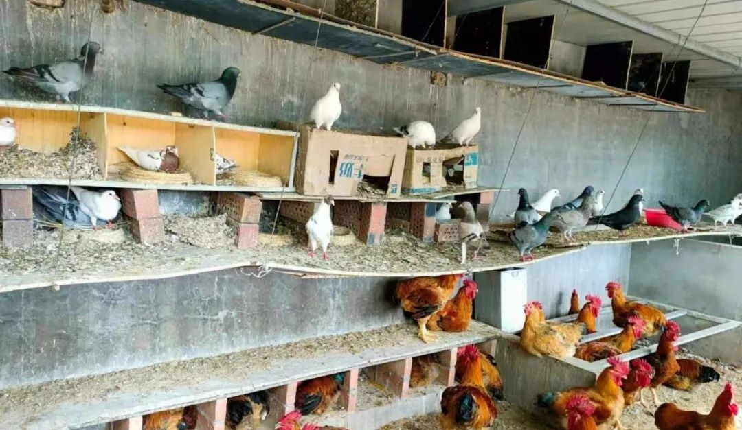 		办实事 暖人心 | 宁夏建材：专心用情解决好员工用餐问题_故事_CA88集团有限公司	
