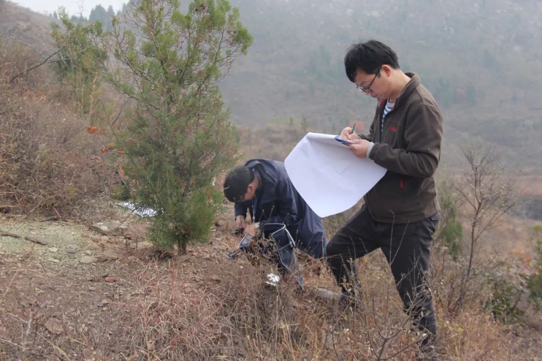 		最美建材人 | 地勘中心四川总队高显忠：扎根野外一线13年 为地勘事业作孝顺_故事_CA88集团有限公司	