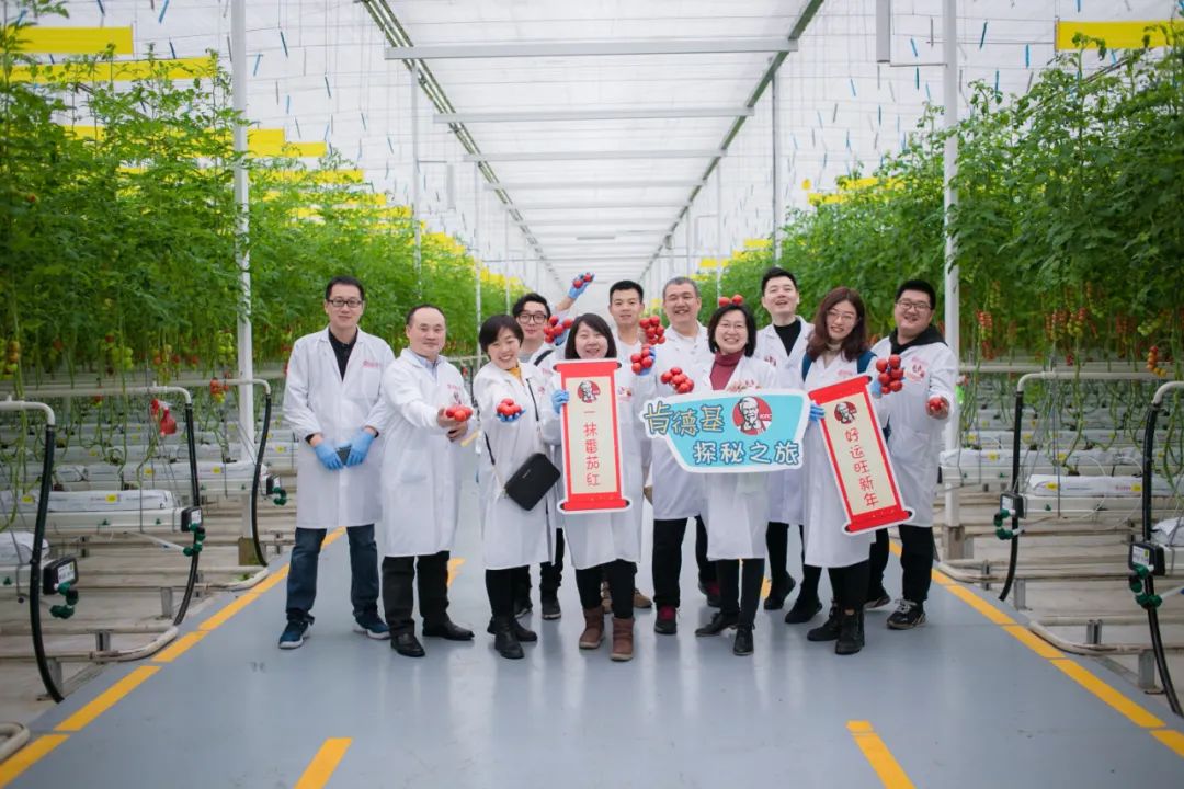 		办实事 暖人心 |CA88工程：科技助力“三农”，，，，，，数字赋能“植物工厂”，，，，，，为墟落振兴“办实事”_故事_CA88集团有限公司	