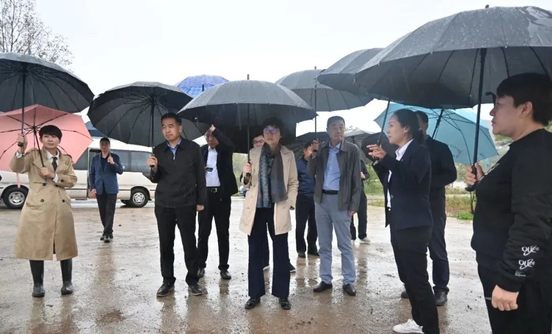 		孙力实赴宁夏回族自治区固原市泾源县调研墟落振兴事情_企业公民_CA88集团有限公司	