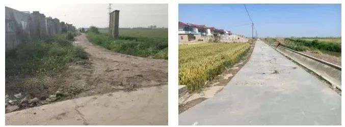 		办实事 暖人心 | 南京玻纤院为群众办小事、实事系列_故事_CA88集团有限公司	