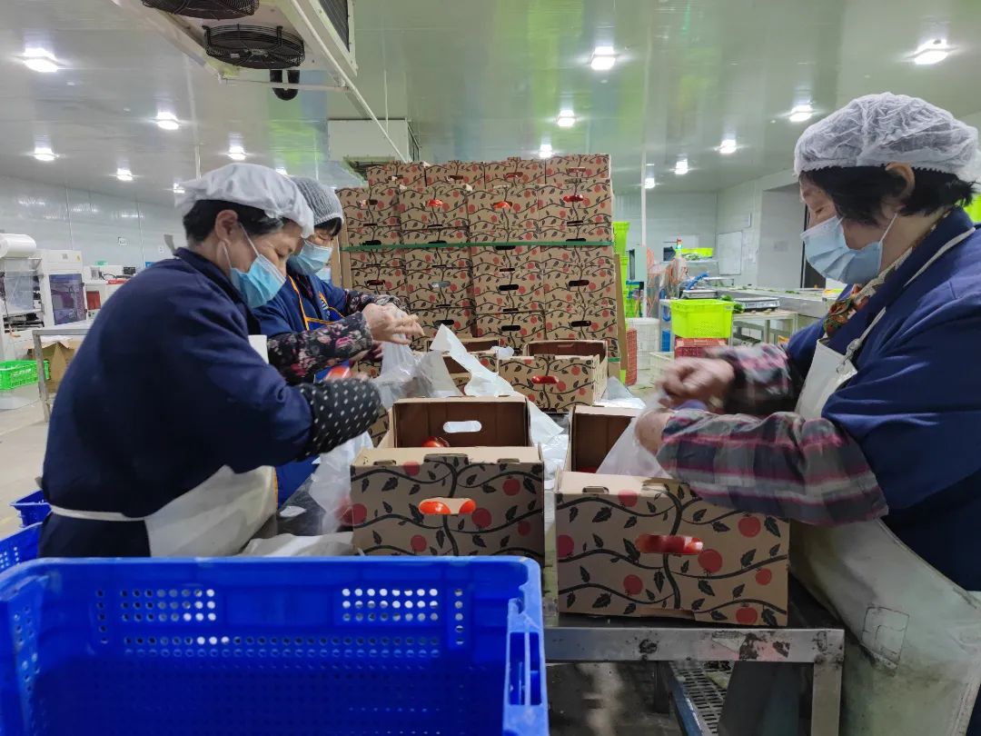 		最美抗疫自愿者 | 凯盛科技刘元军：自告奋勇、微光成炬，，，，，，战疫保供的螺丝钉_人物_CA88集团有限公司	