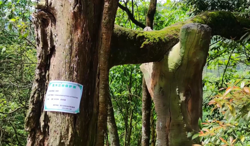 		外地媒体眼中的山乡巨变_媒体报道_CA88集团有限公司	