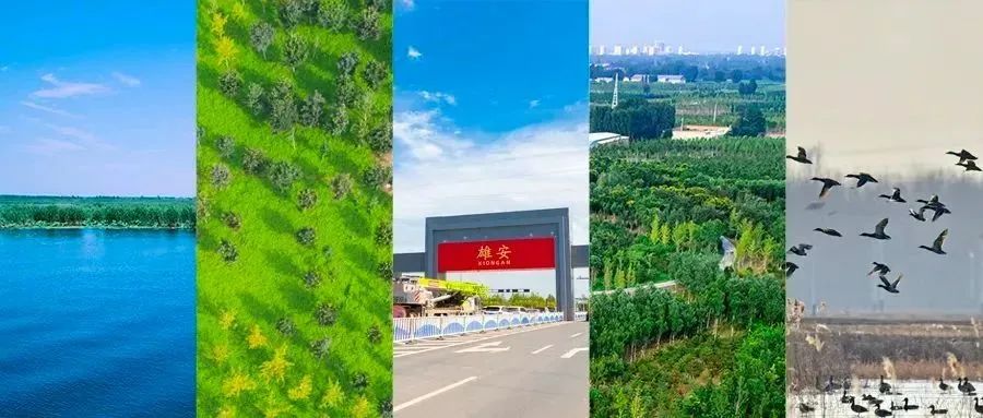 		水泥新故事｜保定中联：雄安建设 建材先行_故事_CA88集团有限公司	