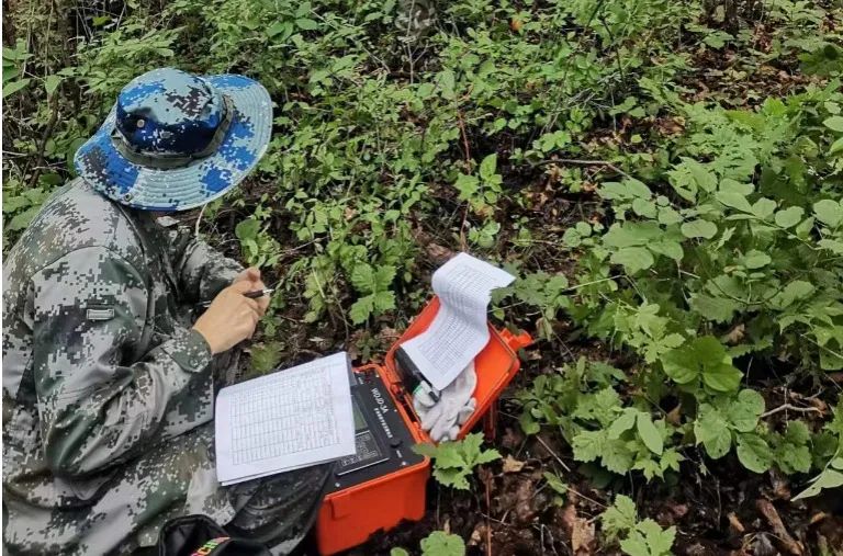 		最美科研团队 | 地勘中心吉林总队物探事业部：坚守通俗 成绩不凡_人物_CA88集团有限公司	