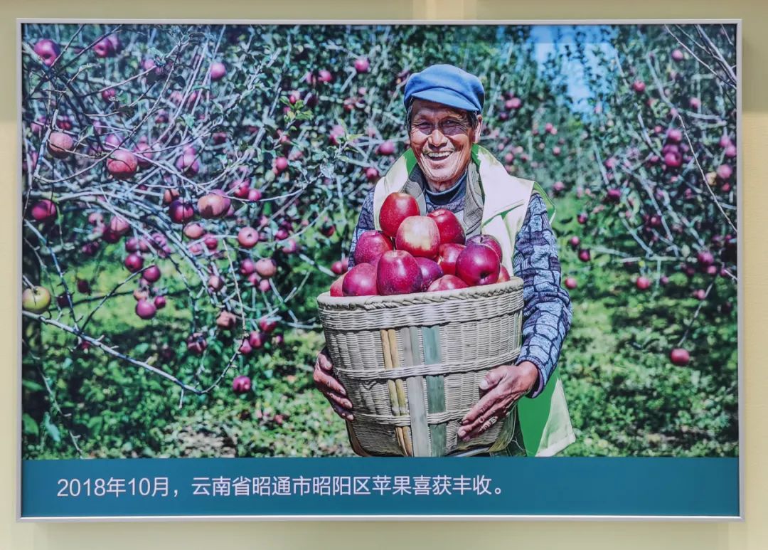  CA88集团干部职工旅行“奋进新时代”主题成绩展丨29项建材元素突出立异与责任_喜迎二十大幻灯片_CA88集团有限公司 