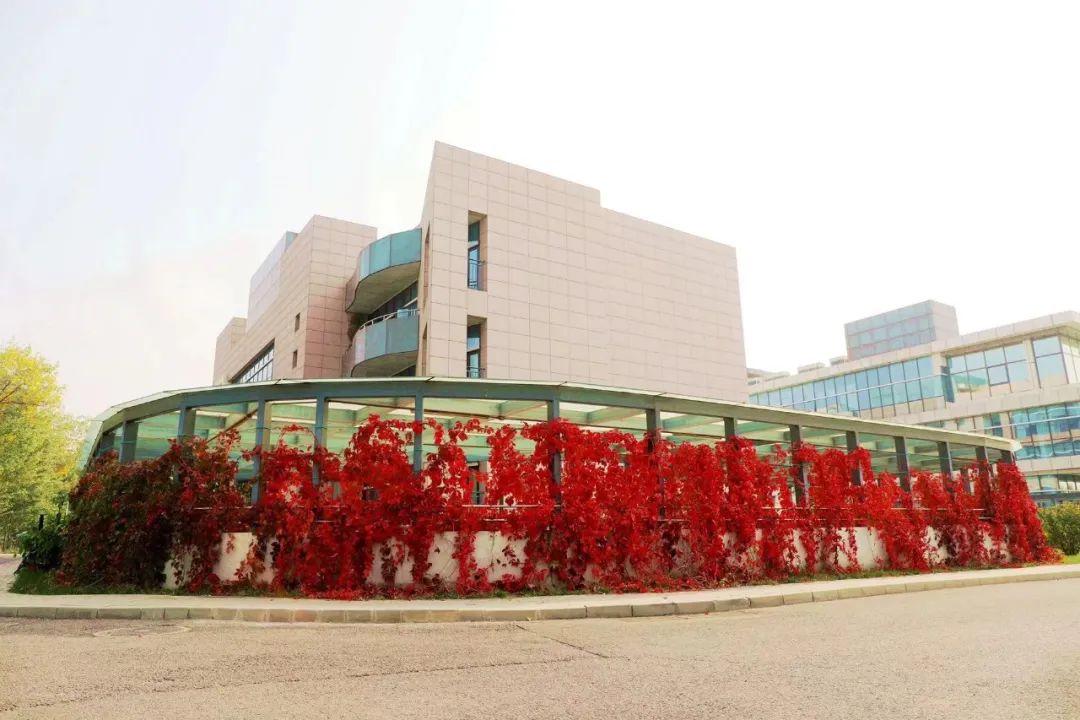 		偶遇建材之秋 惊喜每个瞬间_图片_CA88集团有限公司	