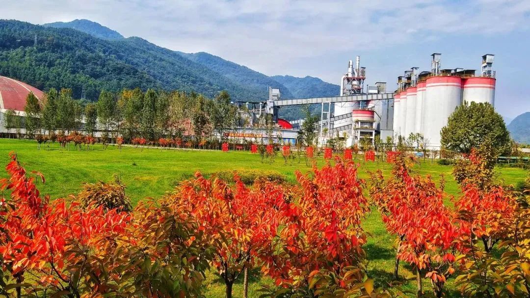 		偶遇建材之秋 惊喜每个瞬间_图片_CA88集团有限公司	