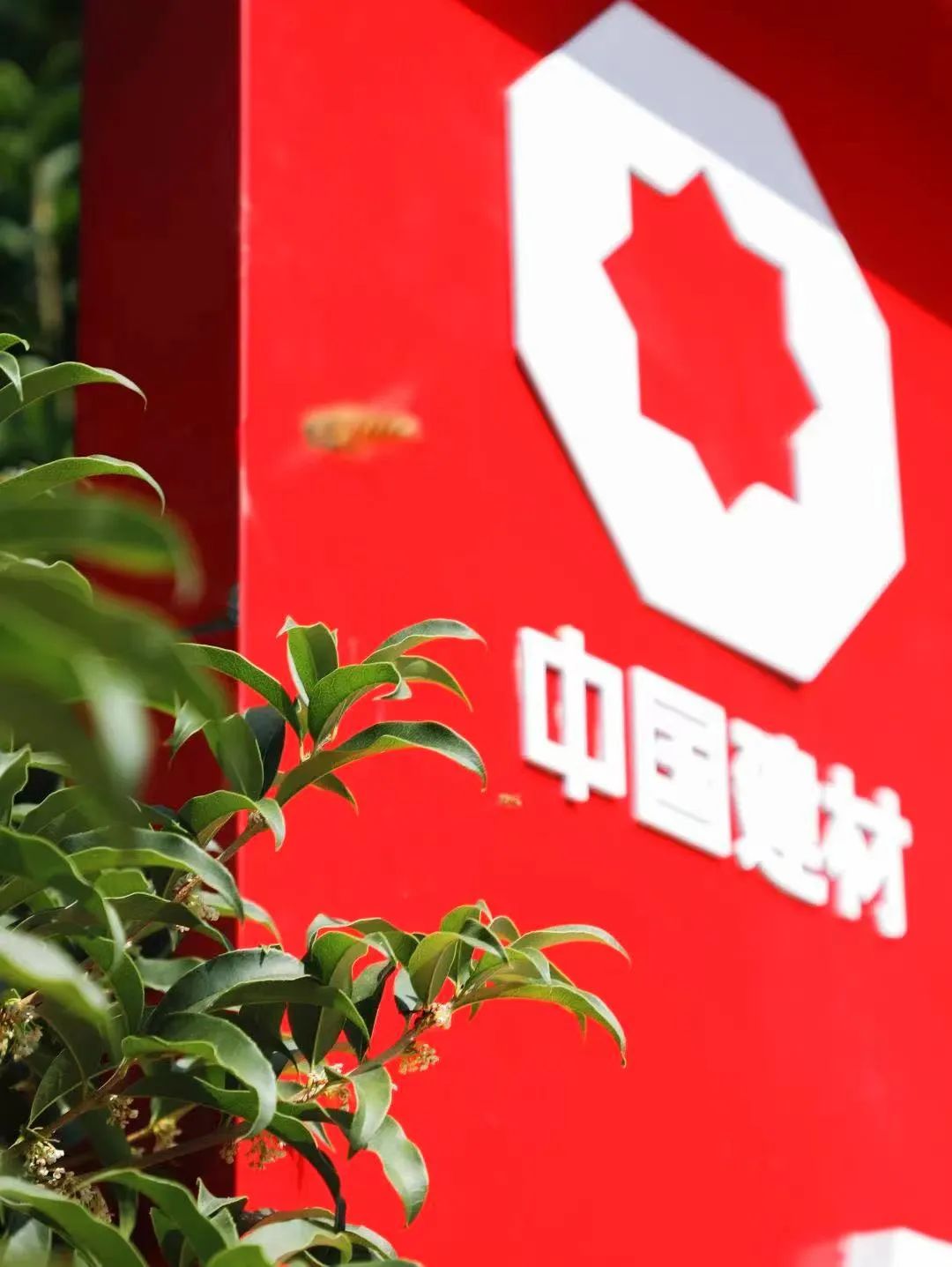 		偶遇建材之秋 惊喜每个瞬间_图片_CA88集团有限公司	