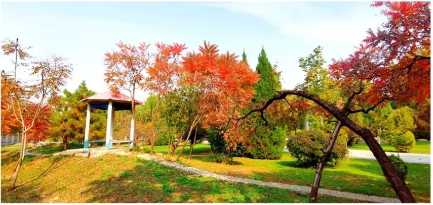 		偶遇建材之秋 惊喜每个瞬间_图片_CA88集团有限公司	