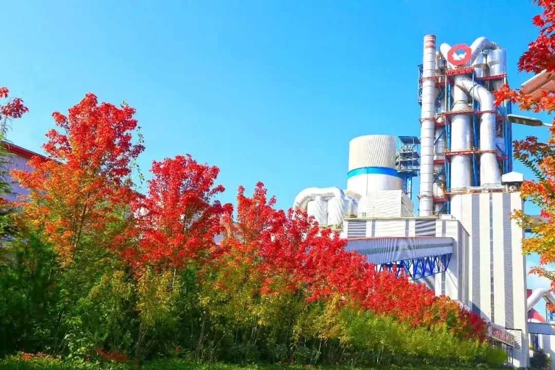 		偶遇建材之秋 惊喜每个瞬间_图片_CA88集团有限公司	