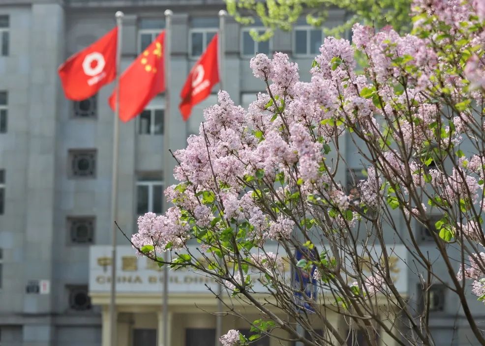 		热爱无边际，，，生涯有“材”情_责任与文化_CA88集团有限公司	