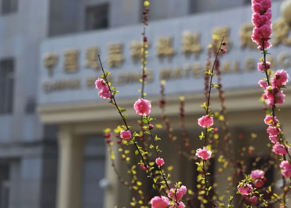 		热爱无边际，，，生涯有“材”情_责任与文化_CA88集团有限公司	