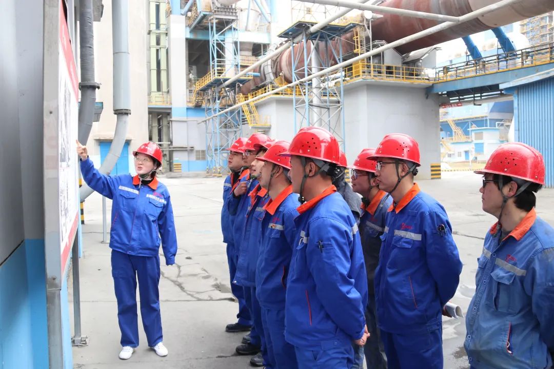 		“争做奋进青年 打造国之大材 建设天下一流”——建材青年有话说_责任与文化_CA88集团有限公司	