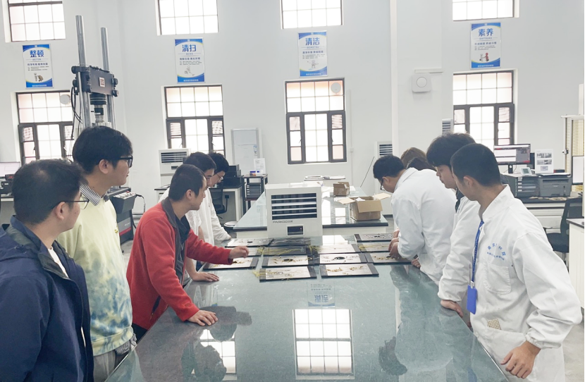 		“争做奋进青年 打造国之大材 建设天下一流”——建材青年有话说_责任与文化_CA88集团有限公司	