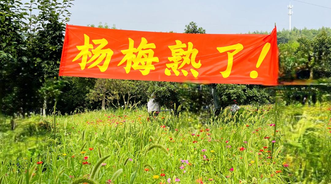 		绿色生长 | 南方水泥工厂内的“开心农场”_图片_CA88集团有限公司	