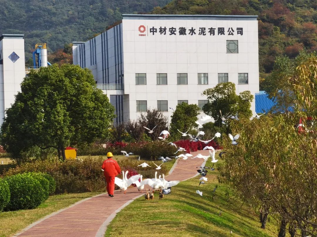 		绿色生长 | 南方水泥工厂内的“开心农场”_图片_CA88集团有限公司	
