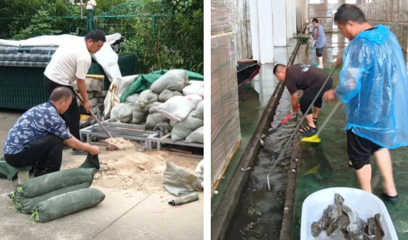 		我们快速响应防汛救灾，，，，全力筑牢清静堤坝_责任与文化_CA88集团有限公司	