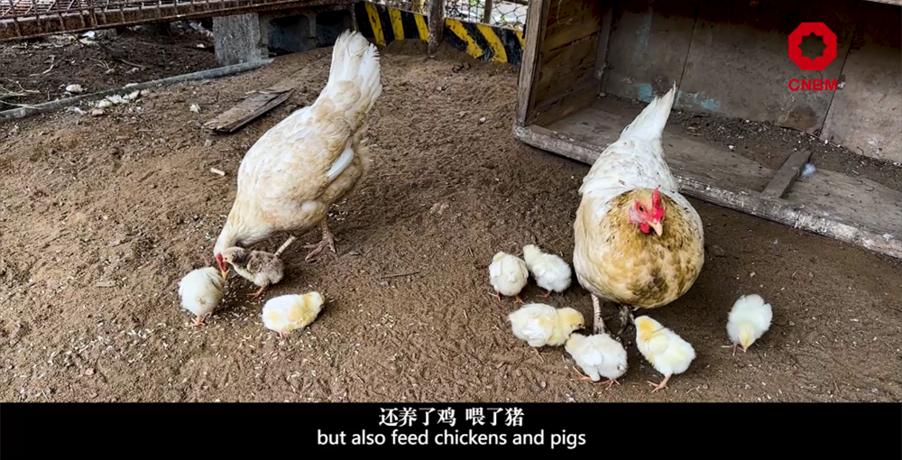 		善用资源开放日 | 中材国际尼日利亚从“相通”走向“深融”：带您“云看”外洋项目部的一天_视频专区_CA88集团有限公司	
