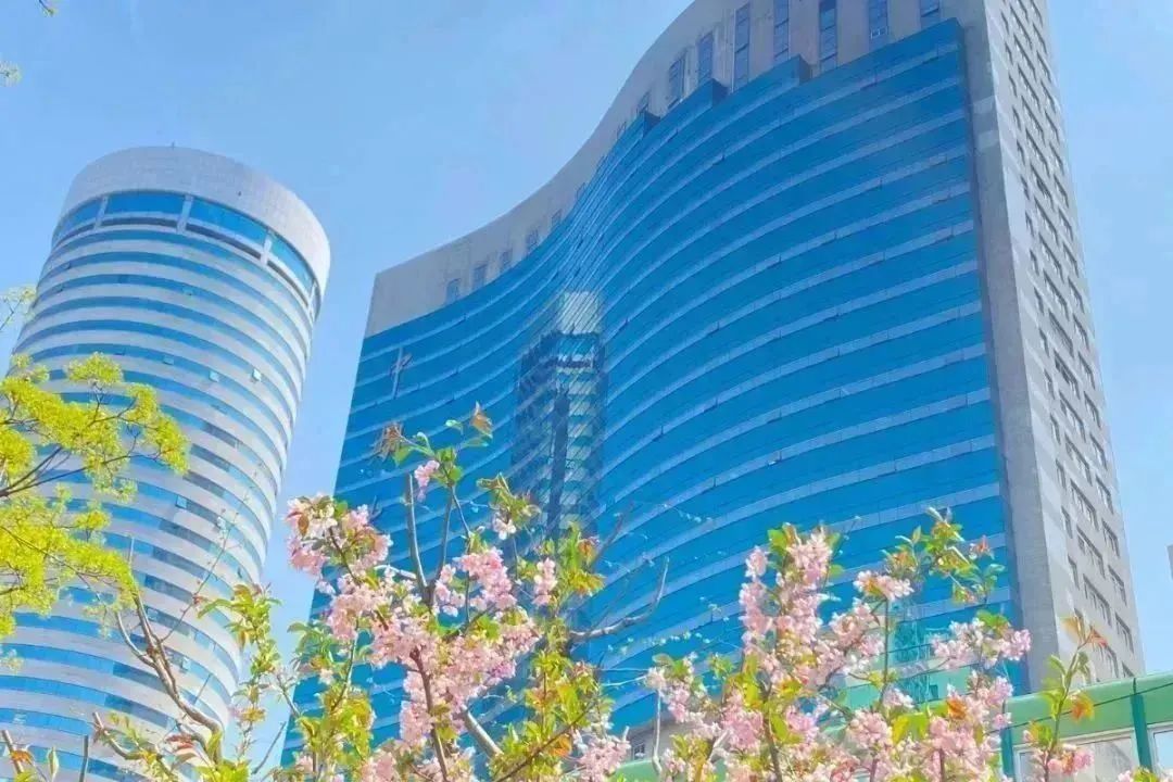 		CA88 | 国庆畅游诗情画意之中研院_责任与文化_CA88集团有限公司	
