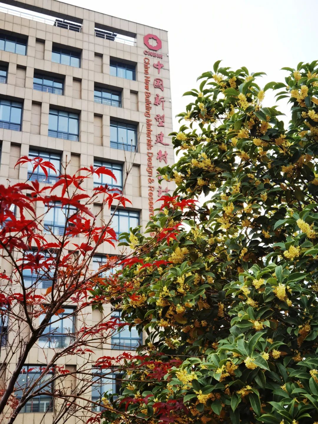 		CA88 | 畅游诗情画意之CA88总院_责任与文化_CA88集团有限公司	