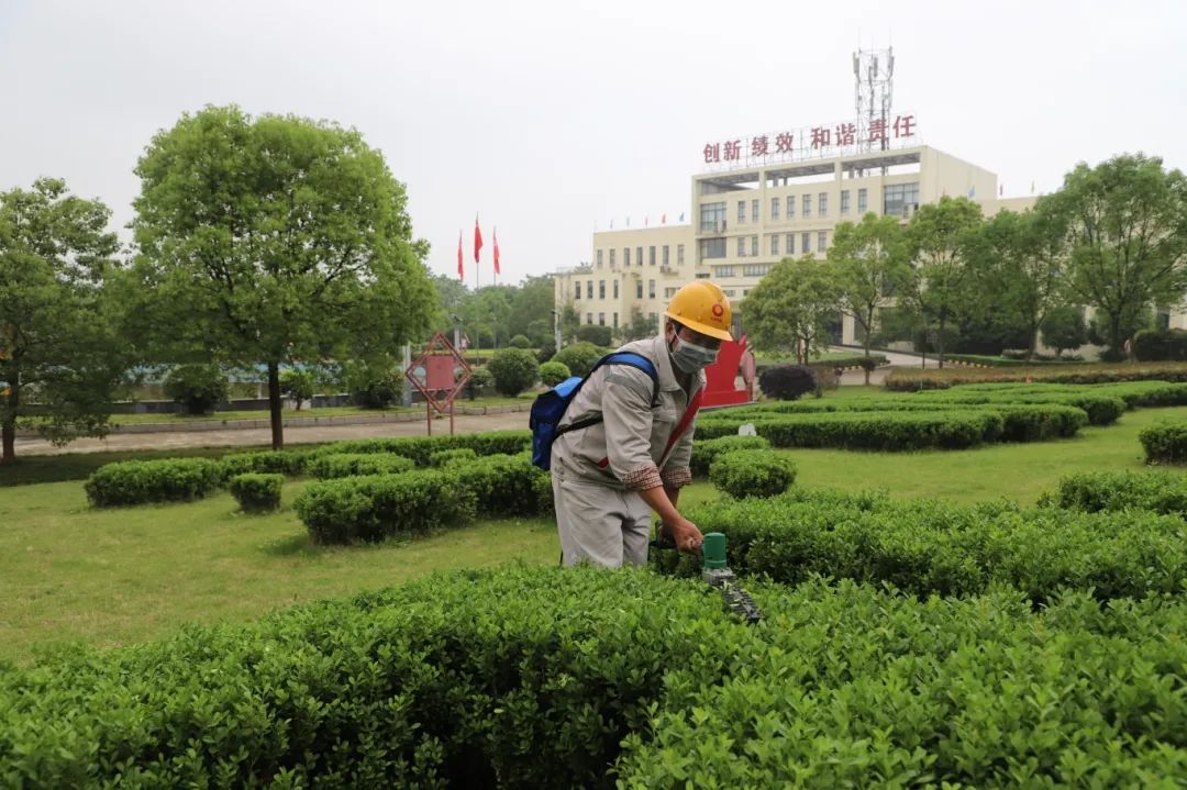 		方寸之地，，，，，“位”你而来 | 快来PICK建材人心中的最美工位吧！_责任与文化_CA88集团有限公司	